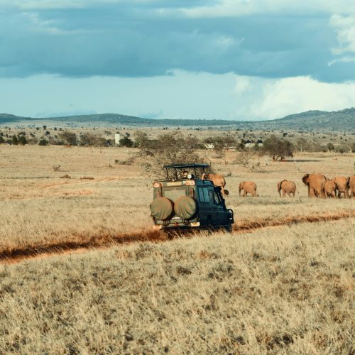 11 Days Samburu, Aberdares, Lake Nakuru, Masai Mara, Lake Naivasha, Amboseli, Tsavo West; Tsavo East Safari