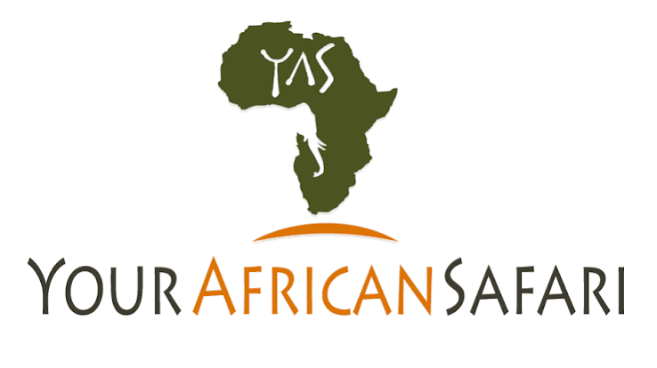 your african safari logo